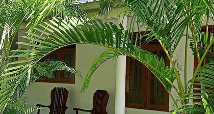 Beautiful Big Garden with lot of Birds and wild animals around