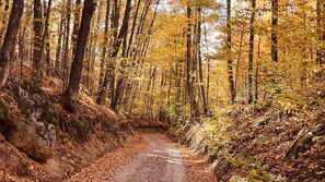 Luokittelematon kuva, 4 kautta 43, painike