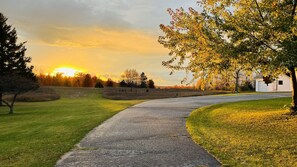 Luokittelematon kuva, 3 kautta 43, painike