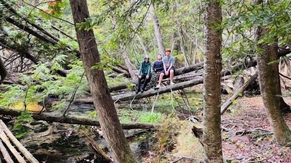 Imagem sem classificação, 1 de 43, botão