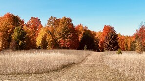 Imagem sem classificação, 4 de 43, botão