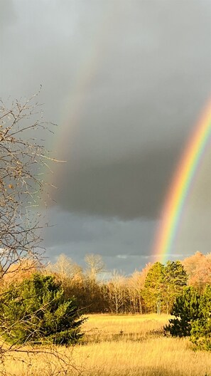 Imagem sem classificação, 5 de 43, botão