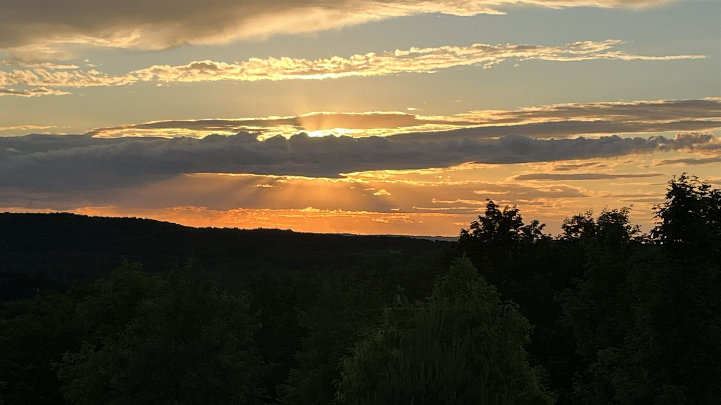 Atardecer sobre un paisaje boscoso bajo un cielo despejado.