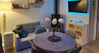 Studio avec mezzanine cosy avec accÚs jardin et ponton privé sur le lac