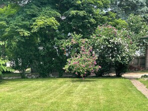A well-maintained garden with a variety of trees and flowering shrubs.