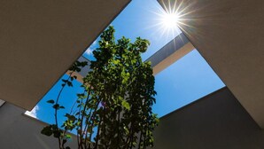 Un lucernario con la luce del sole che filtra, una pianta al centro e un cielo azzurro limpido.