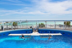Piscine chauffée