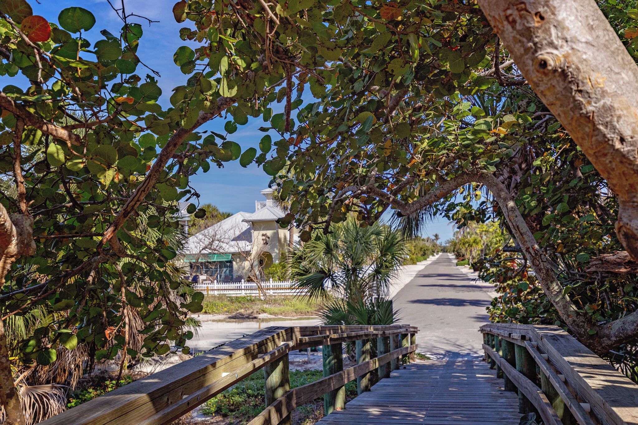 A wooden boardwalk leading to a building with a white fence and palm trees.