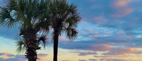 Playa en los alrededores