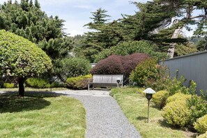 A garden pathway leading to a bench, surrounded by various shrubs and trees. - Hedgerow Haven | Premium Oceanfront with Hot Tub (The Sea Ranch)