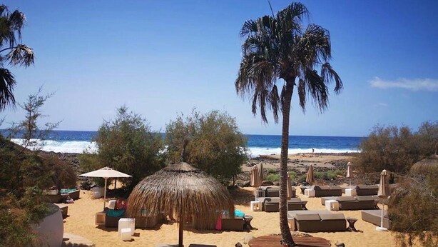A beach with lounge chairs, a palm tree, and a thatched umbrella. - Sunny Apartment for 4 in Vera (Arona)