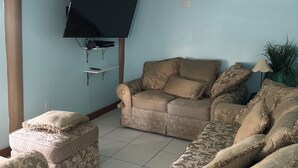 A living room with a sofa, ottoman, ceiling fan, flat-screen TV, and a potted plant.