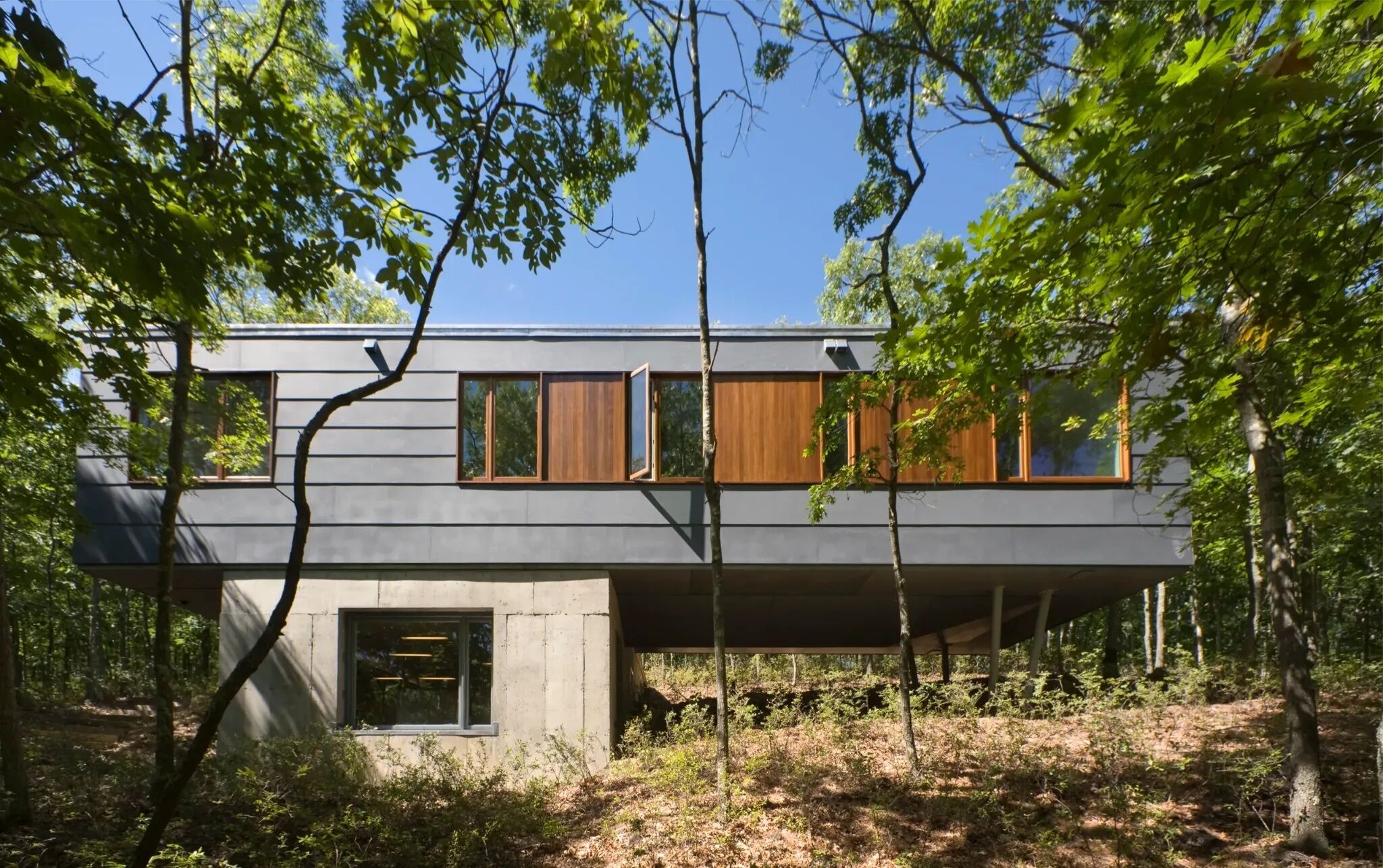 Une maison moderne dotée d’un toit plat, de grandes fenêtres et de fondations en béton, entourée d’arbres et d’une zone boisée.
