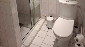 A bathroom with a toilet, a bidet, and a glass-enclosed shower. - Country charm (Iviers)