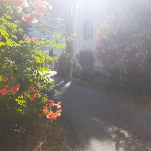 Property grounds - Gîte Alma Bella + small heated indoor pool- Garden- Parking (Roche-Saint-Secret-Béconne)