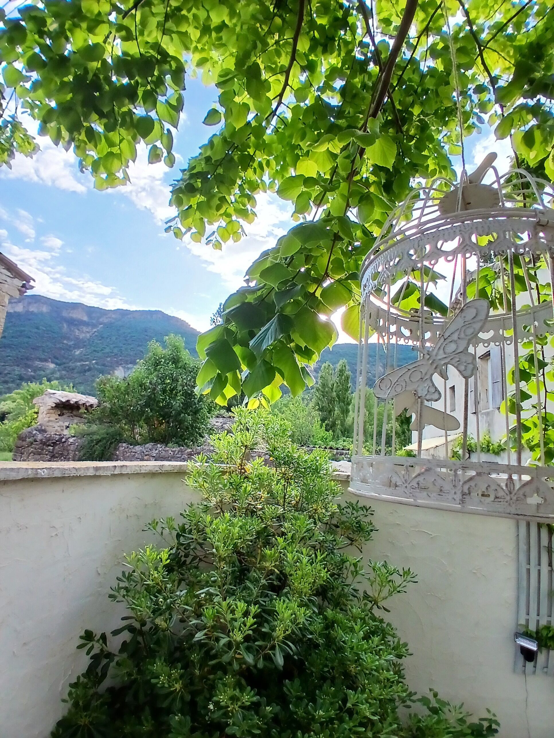 Área da propriedade