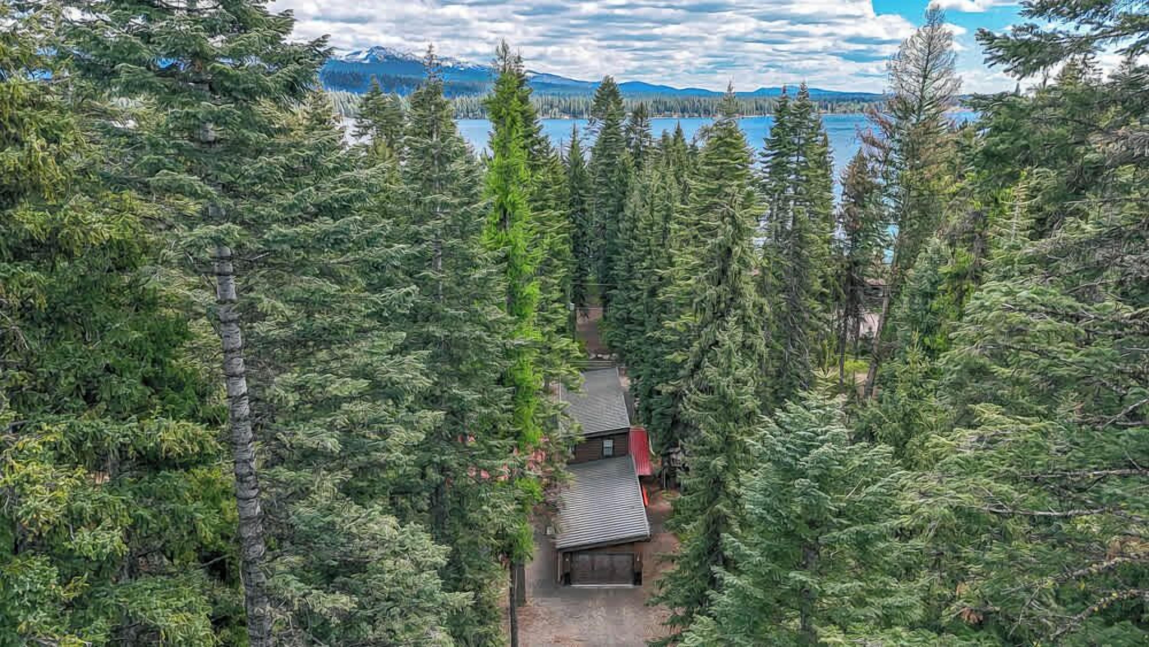 A forested area with a cabin and a lake in the background.