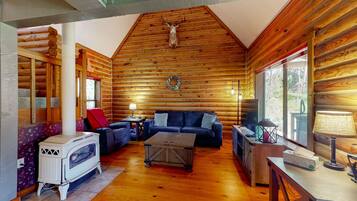 Fernseher, Kamin, Arbeitsbereiche