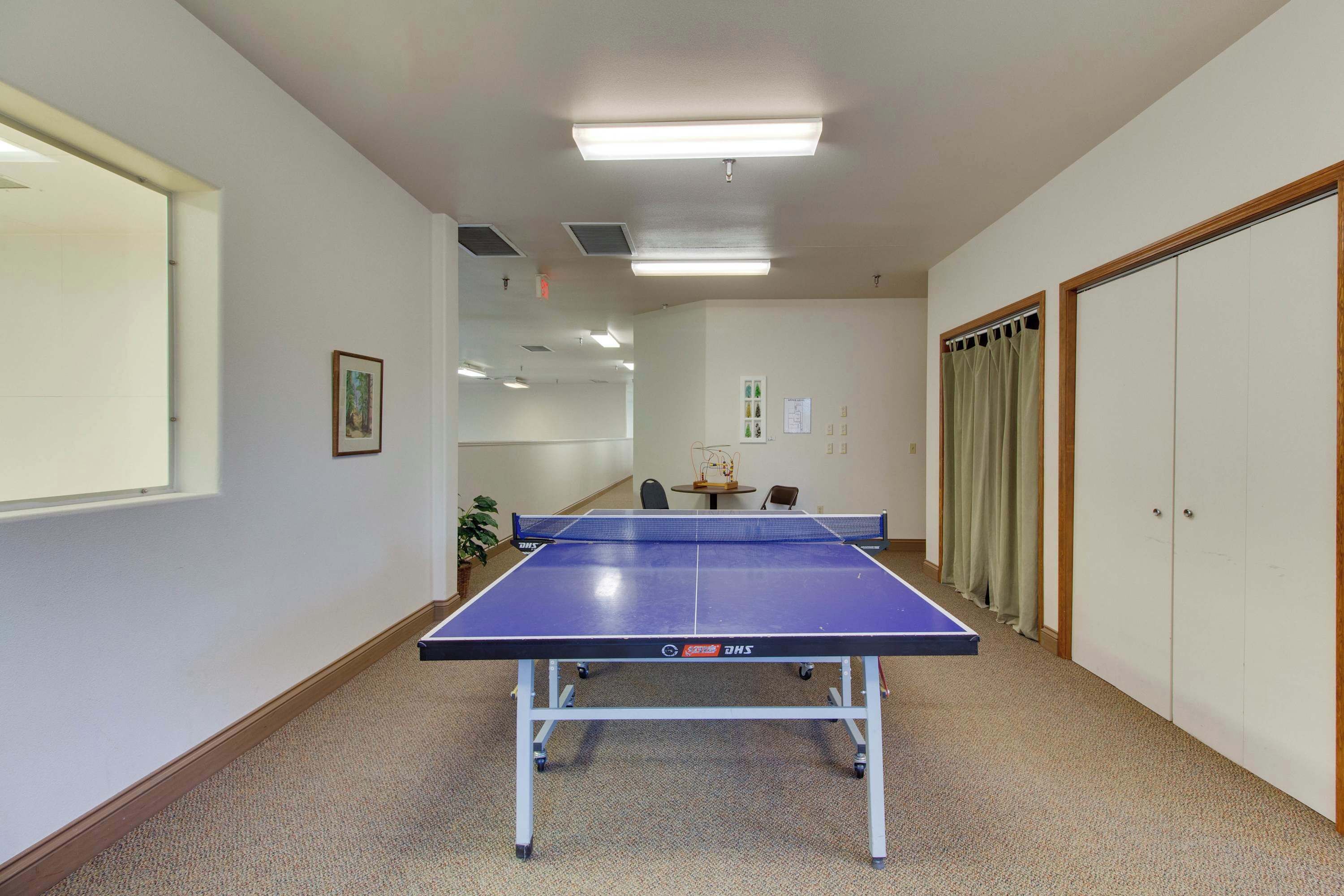 Une pièce avec une table de ping-pong, un écran de projection, une petite table avec une plante et une porte avec des rideaux.