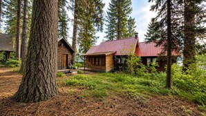 Eine rustikale Holzhütte mit Metalldach, umgeben von hohen Bäumen und einer Wiese.