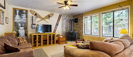 TV, fireplace, DVD player, stereo