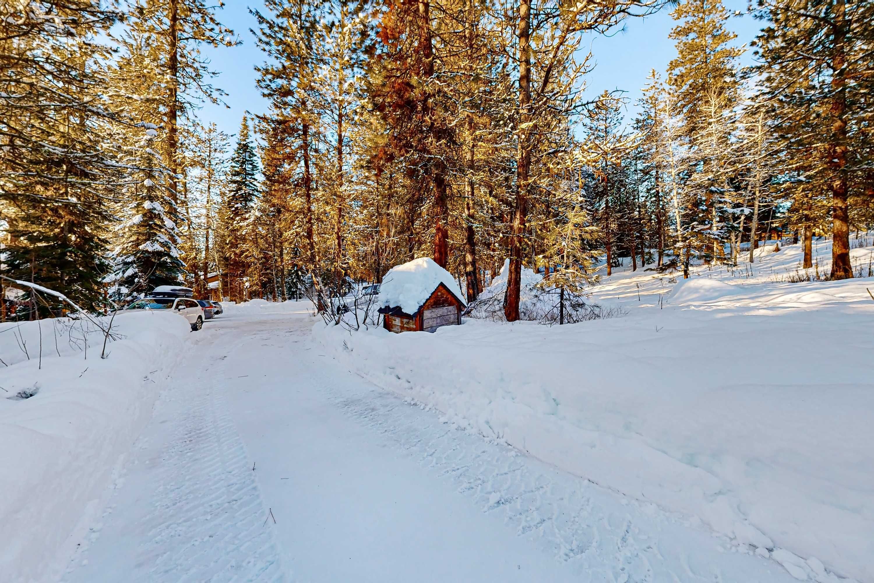 Una cabaña nevada en un bosque, con un sendero despejado que lleva a ella.