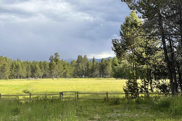 Un campo con una valla de madera en primer plano y una hilera de árboles al fondo.