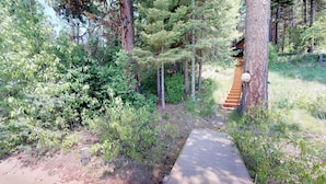 A forested area with a concrete path leading to a wooden staircase.