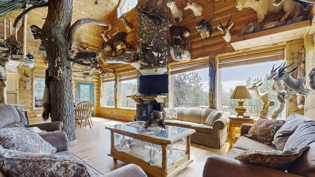 L’intérieur d’une cabane en rondins, avec un grand tronc d’arbre, des têtes d’animaux empaillées et un coin salon confortable comprenant des canapés et une table basse.