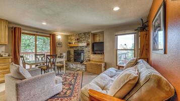 Télévision, cheminée, lecteur de DVD, espaces bureaux