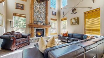 Télévision, cheminée, lecteur de DVD, chaßne hi-fi