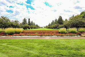 Luokittelematon kuva, 5 kautta 22, painike