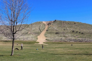 Ein grasbewachsenes Feld mit einem Feldweg, der einen Hügel hinaufführt.