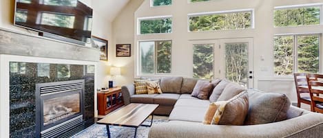 Televisión, chimenea, videojuegos, reproductor de DVD