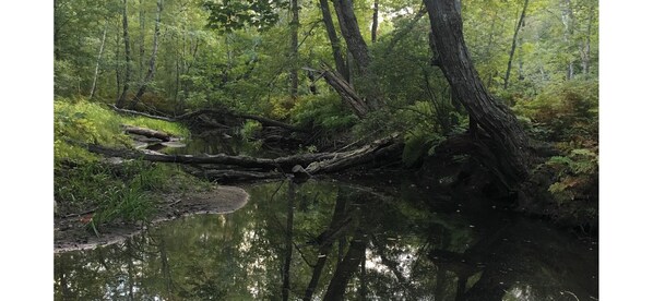 Unclassified image, 1 of 22, button - Cozy 1-bedroom Duplex on 50 acres in Smithfield with AC/ near Belgrade maine (Smithfield)
