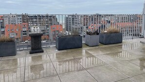 Una terraza en la azotea con suelo de baldosas, plantas en macetas y una escultura decorativa.