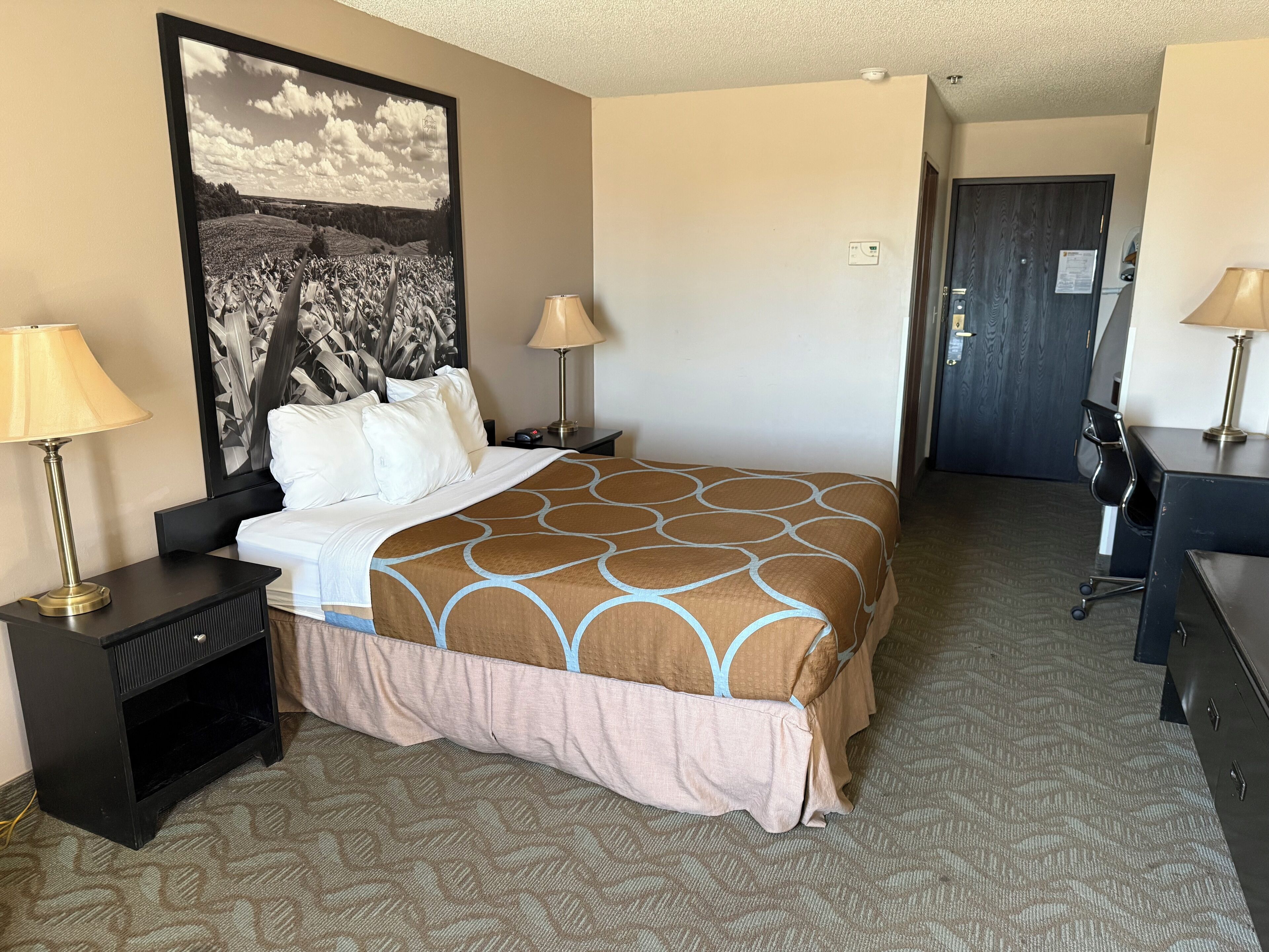 Yhden hengen standard-huone | Silitysrauta/-lauta, ilmainen Wi-Fi