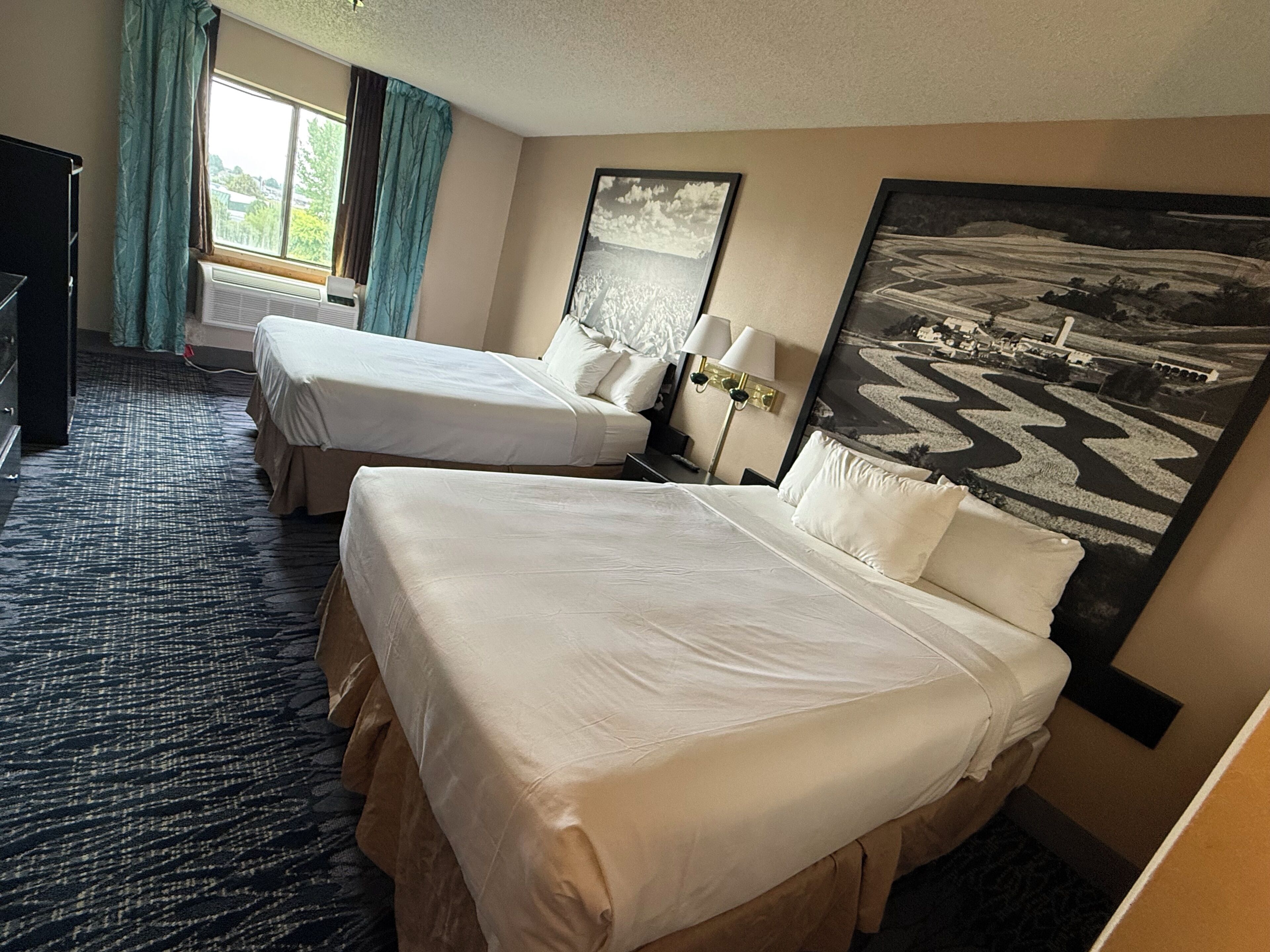 Standard Double Room (Pets Allowed)