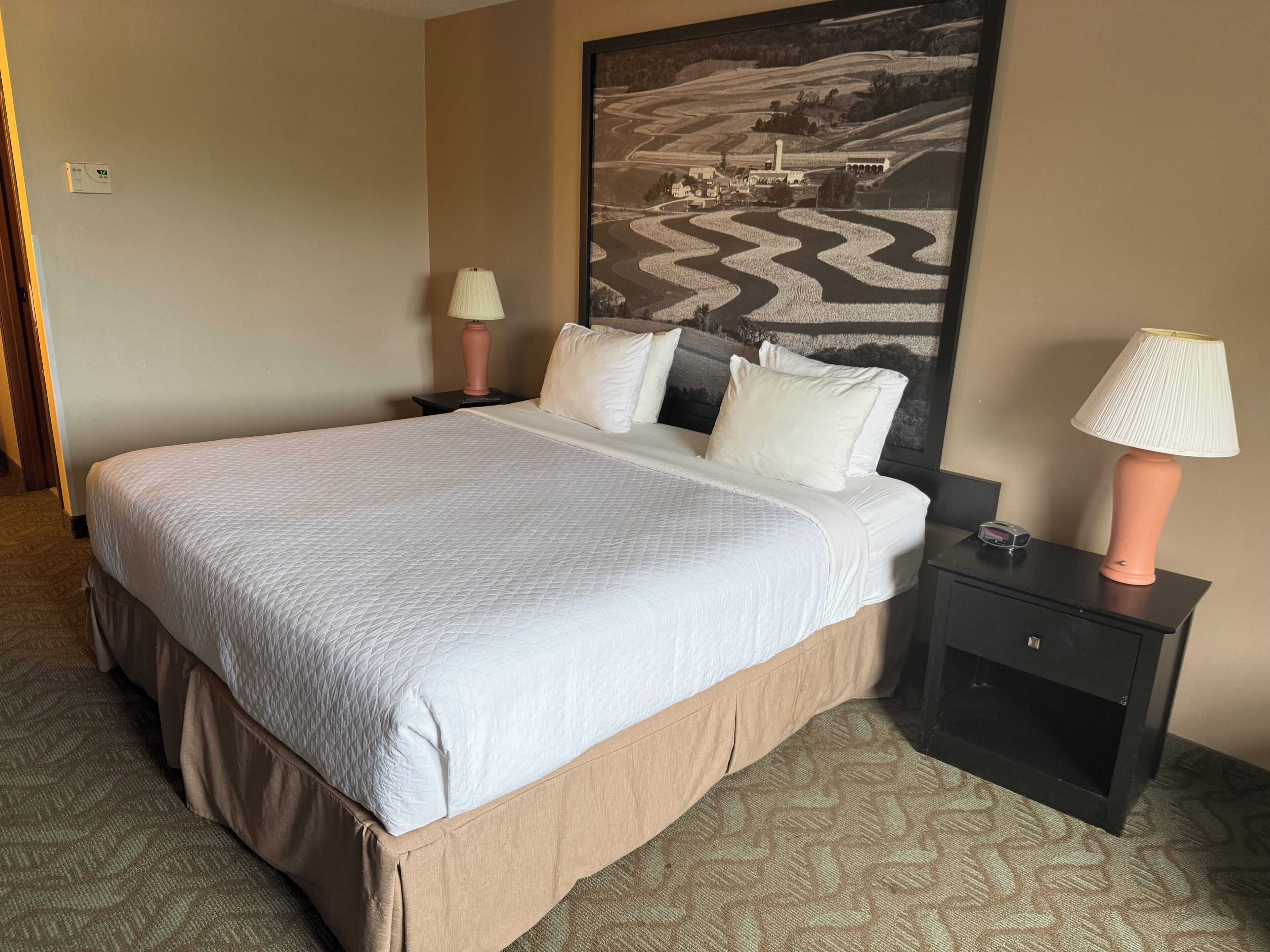 Standard Single Room (No Pets Allowed)