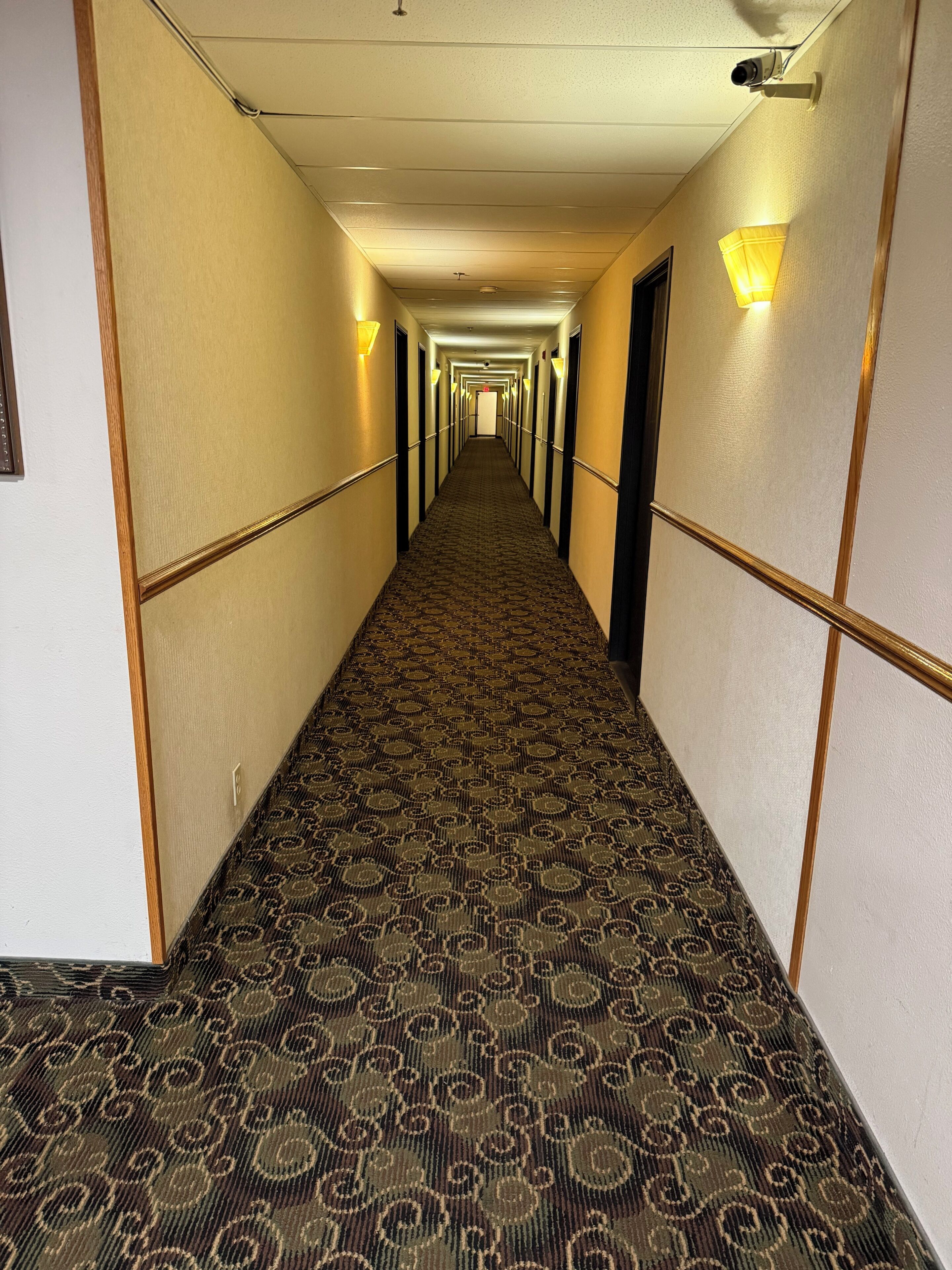 A hotel hallway with patterned carpet, wall-mounted lights, and doors on both sides.