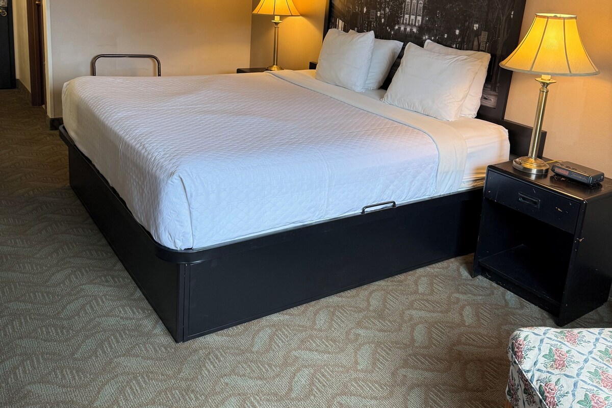 Una habitación de hotel con cama, dos lámparas de noche, mesita de noche, una silla, un cuadro en la pared y piso alfombrado.