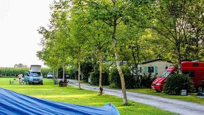 Une tente bleue ornée du logo « Quechua », un camping-car rouge et un sentier bordé d’arbres.