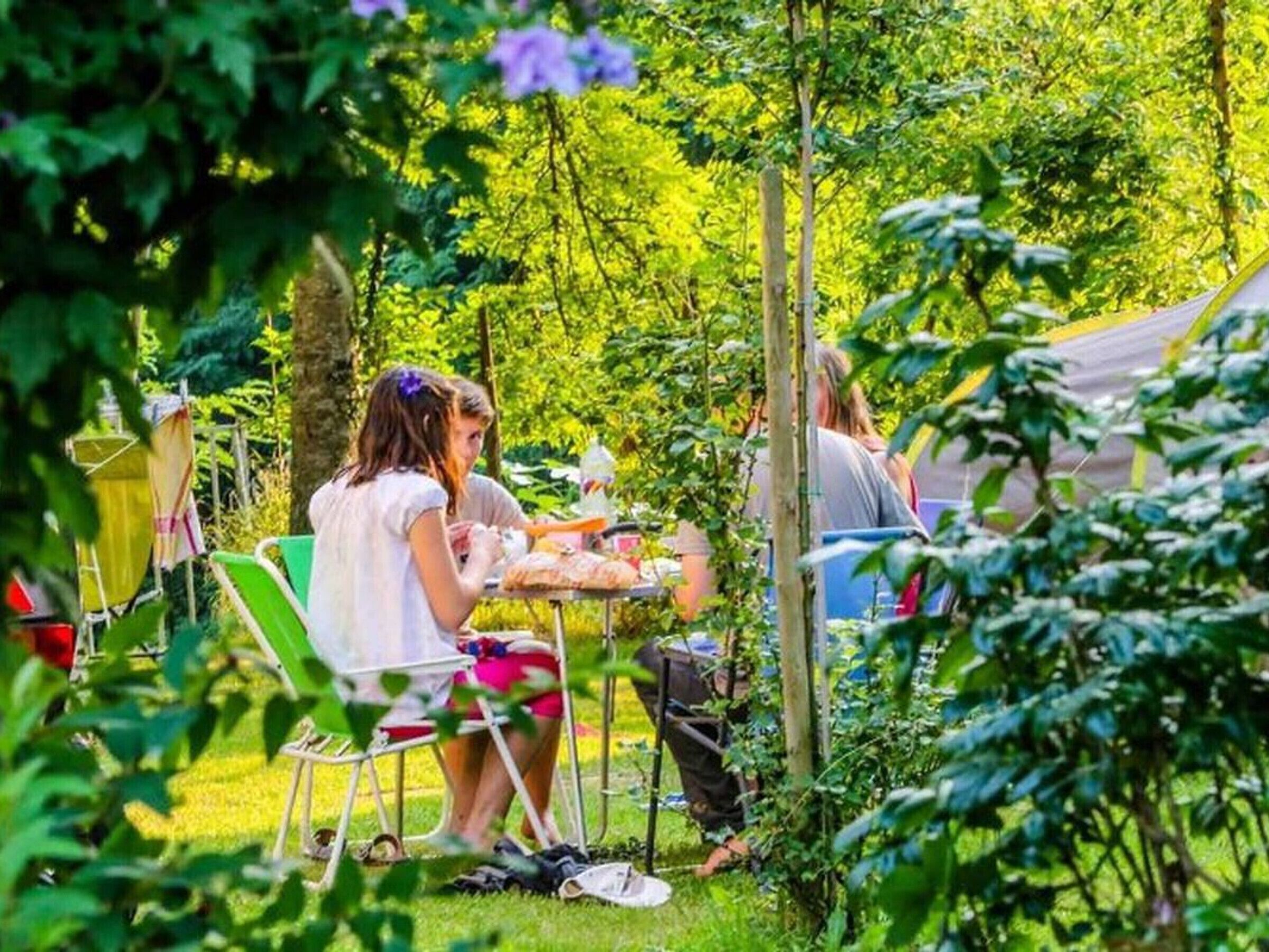 A garden setting with a table and chairs, surrounded by greenery and trees.