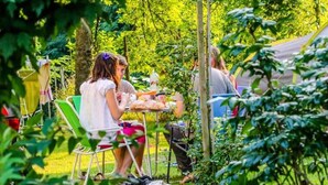 Un espace aménagé en jardin, avec une table et des chaises, entouré de verdure et d’arbres.