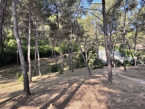 Property grounds - Calm studio, pool - 2 guests (Sanary-sur-Mer)