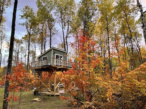 The Canopy Cabin a Nature Lovers Eclectic Treehouse