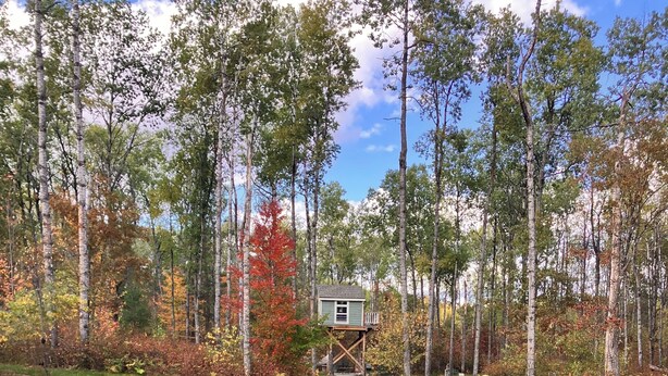 A pond with a wooden deck, surrounded by rocks and ferns, with a house in the background. - The Canopy Cabin a Nature Lovers Eclectic Treehouse (Athelstane)