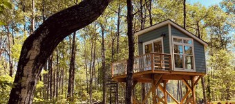 The Canopy Cabin a Nature Lovers Eclectic Treehouse