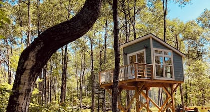 The Canopy Cabin a Nature Lovers Eclectic Treehouse