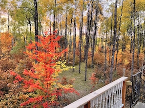 Une zone boisée avec une terrasse en bois et une rambarde.
